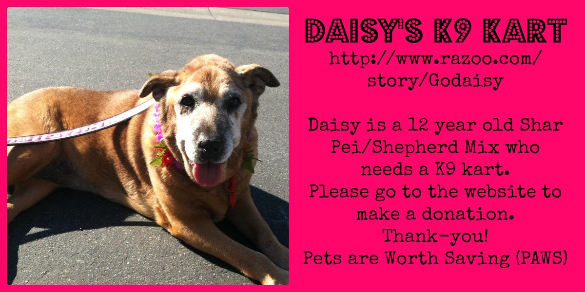 FriendsofCorona's tweet image. razoo.com/story/Godaisy #k9kart #godaisy!