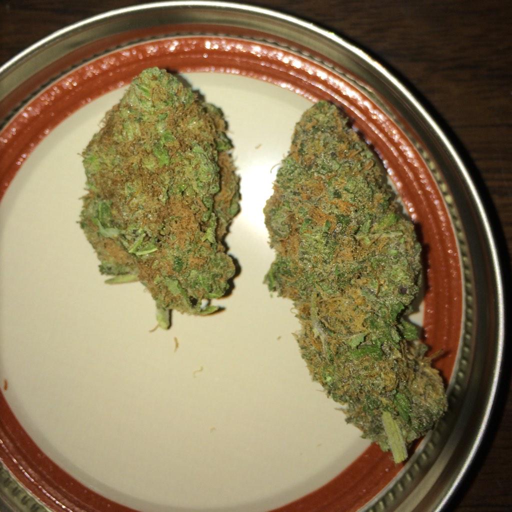 WeedLikeStuff tweet picture