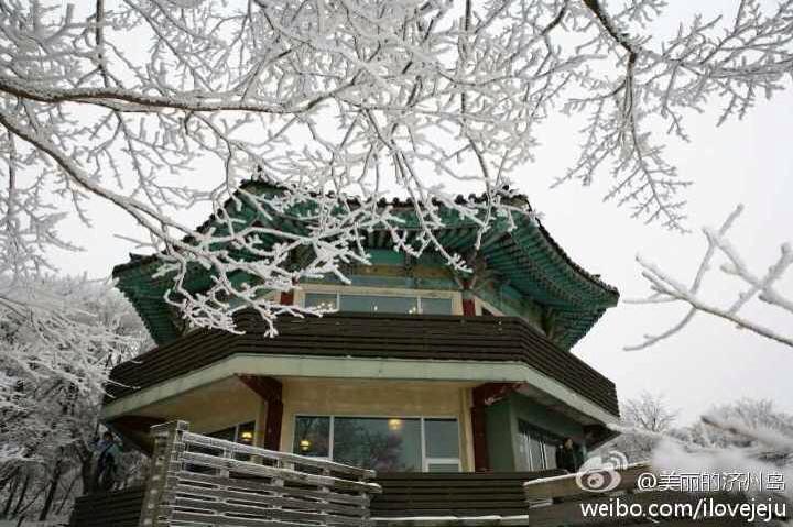 dimpert_'s tweet photo. "@KOREATOWN: Snow at Halla-san on Jejudo http://t.co/4IgTkbeoH6"