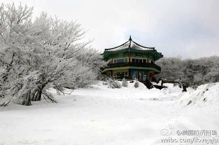 dimpert_'s tweet photo. "@KOREATOWN: Snow at Halla-san on Jejudo http://t.co/4IgTkbeoH6"