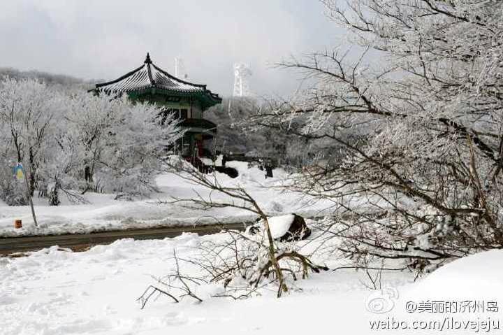 dimpert_'s tweet photo. "@KOREATOWN: Snow at Halla-san on Jejudo http://t.co/4IgTkbeoH6"