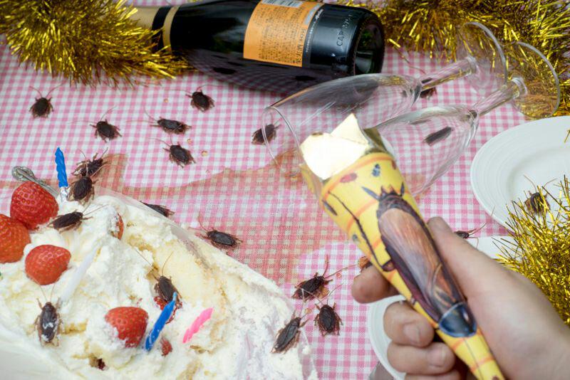 tarte25252's tweet image. クリスマスで浮かれてるリア充共を恐怖のズンドコに叩き落とす凶悪ウェポンが登場www :  jin115.com/archives/52057…