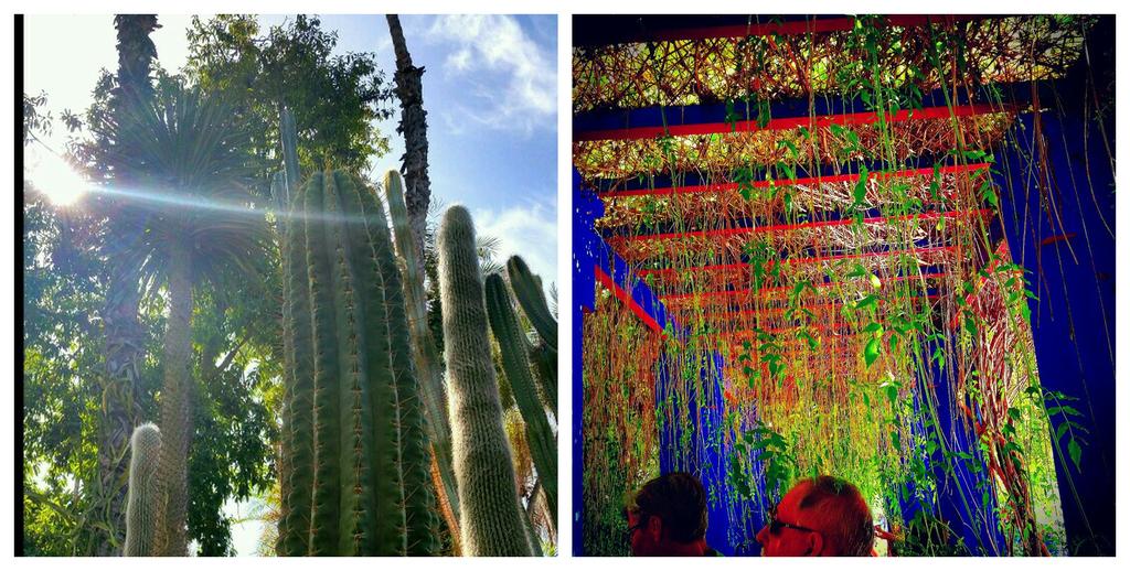 BinbineApp's tweet photo. Colorful photopair by thomas. http://t.co/WI1McA9yw9