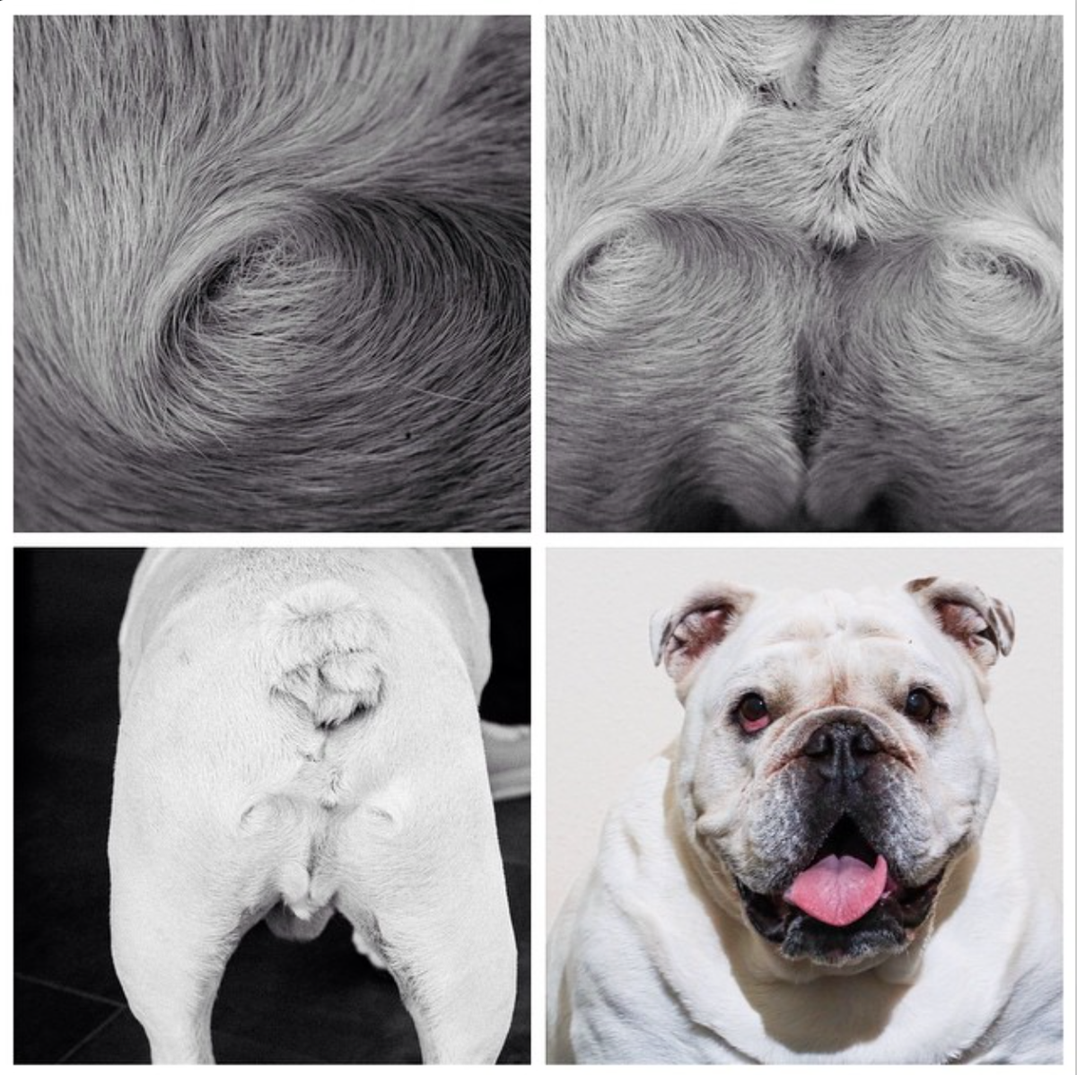 robdyrdek's tweet photo. Correct... Hairicane Meaty http://t.co/UlW5MjH5Ne