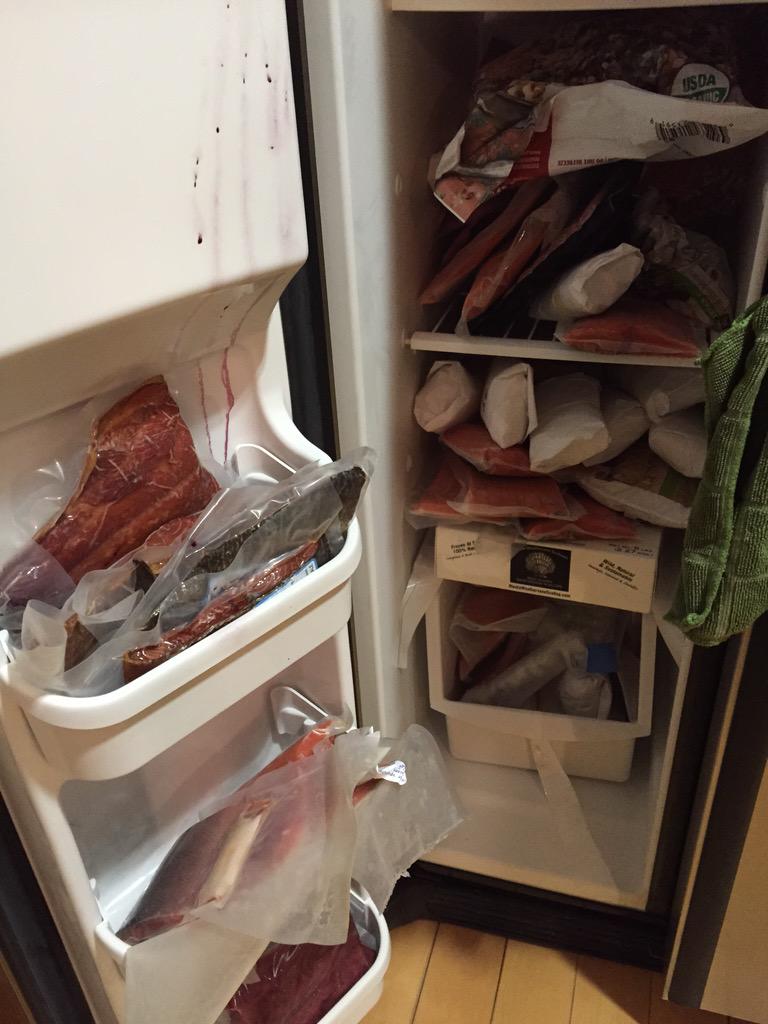 katiesvo's tweet photo. Stocked up for the winter @jaredcure hook me up with some salmon buddy #jerrys http://t.co/p7PENJanWe