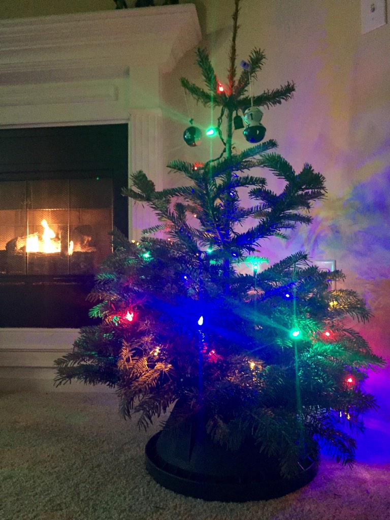 DMig23's tweet image. She may be small, but my Charlie Brown Christmas tree is mighty and a welcomed addition to the new pad, lol! 🎄😜