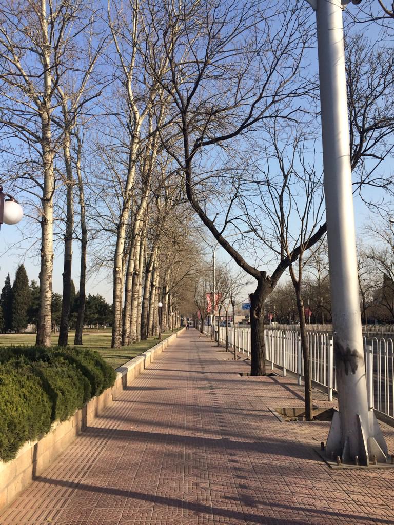 vanillasnape's tweet photo. 看你照片，哇原来长这样，我操你妈。老子今天走错到C区，看77号我日咋变成老女人了！再一看，C区不是A区。你看我都会走错路了。 http://t.co/jEJi75MspJ