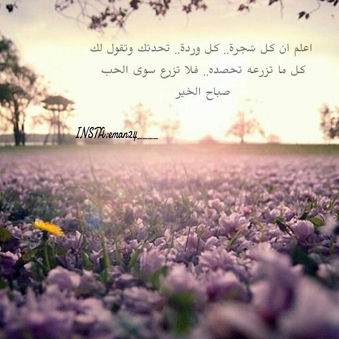 EmanDaef15's tweet photo. http://t.co/N1k9WcG6fT