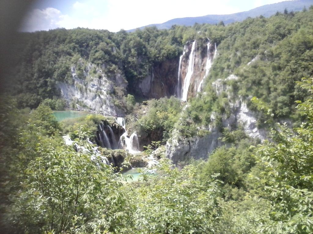 JBdoToDo's tweet image. Nature &amp;lt;3 &amp;lt;3