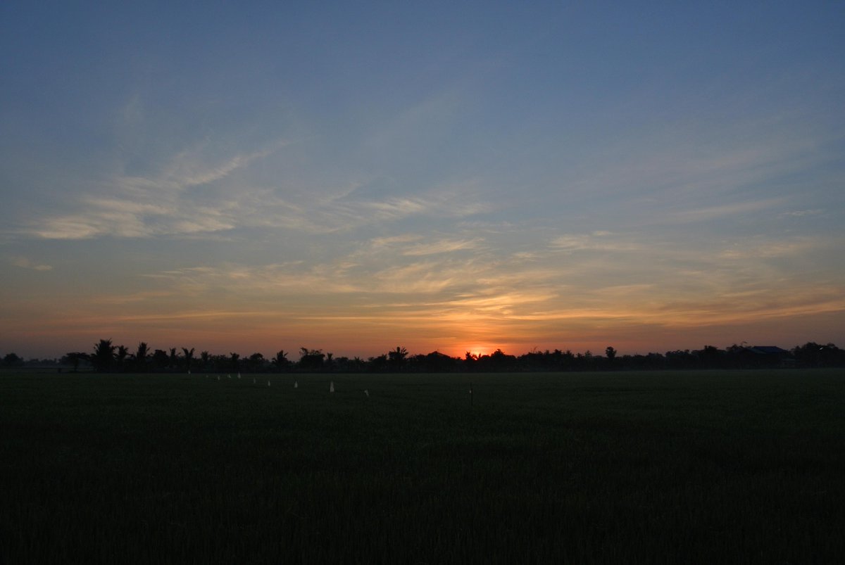 coprad's tweet photo. http://t.co/PIaWN6wKaM