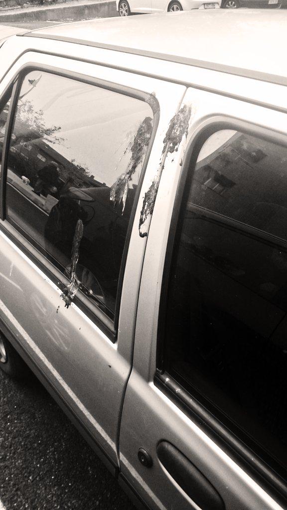 torrespichin13's tweet image. Me ha cagado un jodido rinoceronte