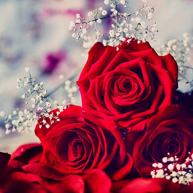 <a href="/nima48/">¨°•♥ Mr.nima♡ ♥•°¨</a>