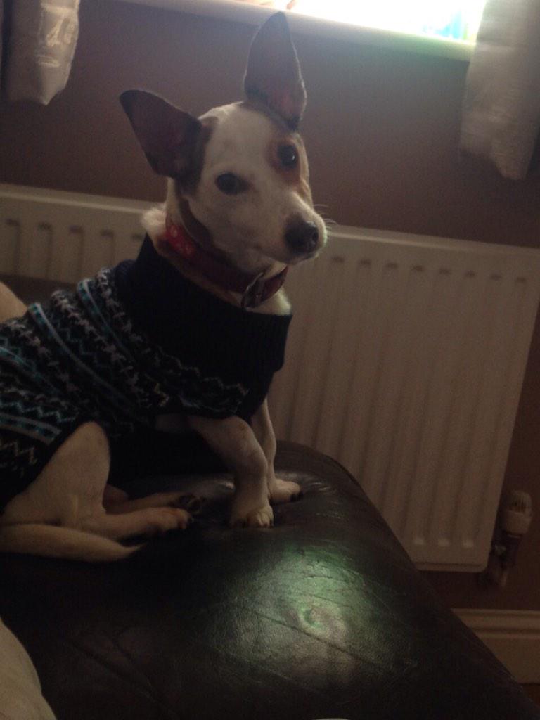 BaileyRowles1's tweet photo. Got my xmas jumper on! #Photoshoot http://t.co/FbgjVJO1P5