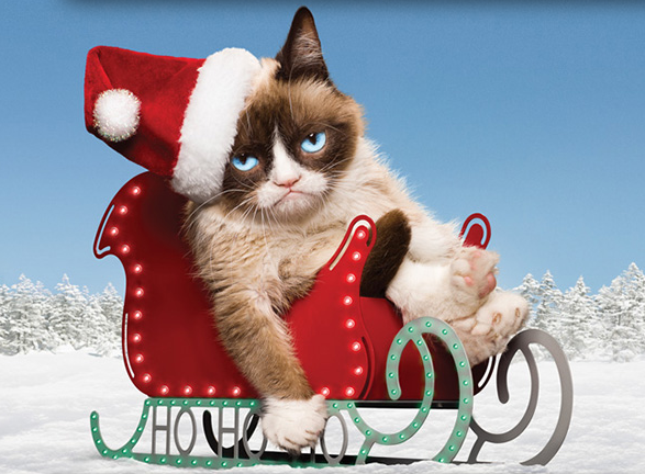 Kbridgepets's tweet photo. Don't let down your pets this Christmas! Come see our gorgeous gift offerings! #GrumpyCat #maddogs #Christmas http://t.co/grrCRdfF3v