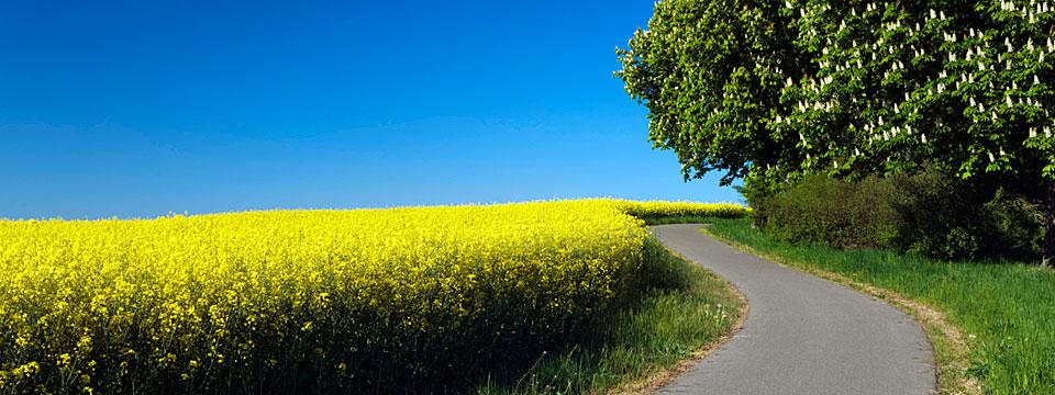 PkApplication's tweet image. Αυτο που ονειρευόμαστε..