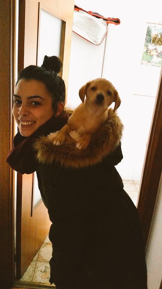sandrajunquero's tweet photo. @josemiTG  jajaja mira!! Tokio y yo nos vamos de compras jajajaja http://t.co/dRDtCEMg4X