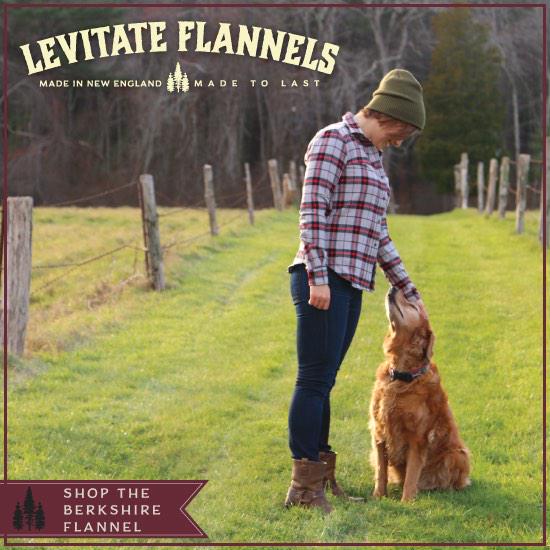 Levitate tweet media