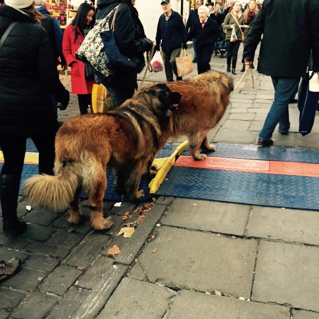 London Markets tweet media