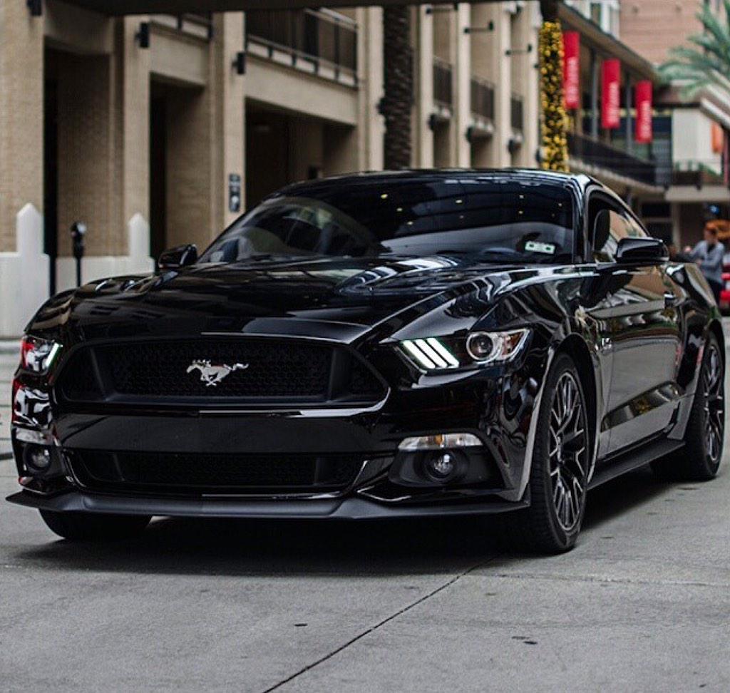 carpxrnpicx's tweet image. Mustang 😱