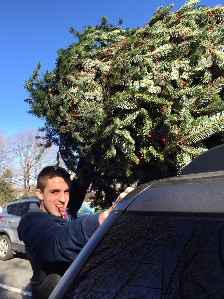 danny_mastro's tweet photo. When the tree falls off the car << http://t.co/GVOGcR2i45