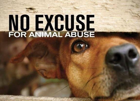 Protect_Wldlife's tweet image. Please Sign &amp;amp; RT: Make It Compulsory For Animal Abusers To Be On Put A Register. thepetitionsite.com/390/017/397/ma @joannakrupa