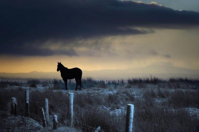serdargoknur's tweet photo. To stand againts the hardships...... http://t.co/zmijz25xIV