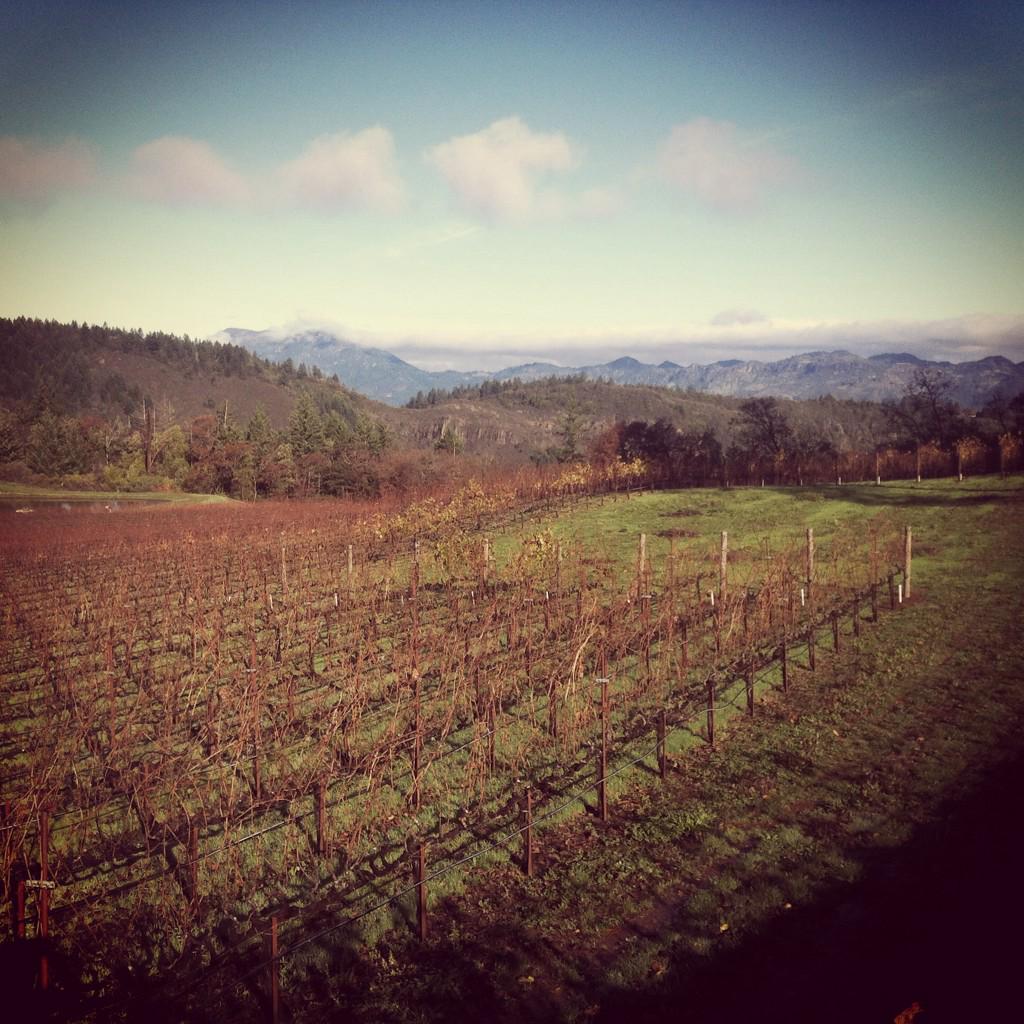DaveDTC's tweet photo. A crisp mostly clear December day in Northern #napavalley from Pride Mountain Vineyards http://t.co/HV41cTcK24