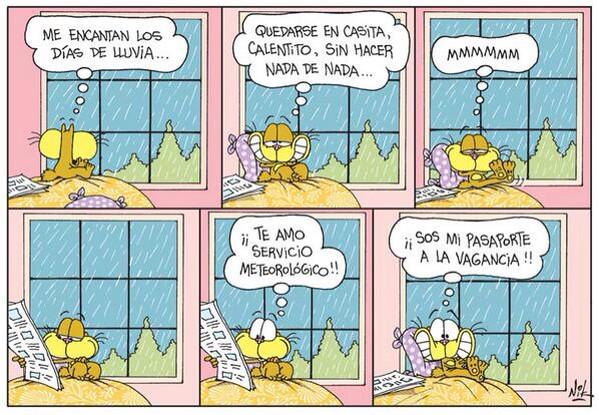 Nikgaturro's tweet photo. Gaturro y la lluvia... http://t.co/zbSQcxPaUj