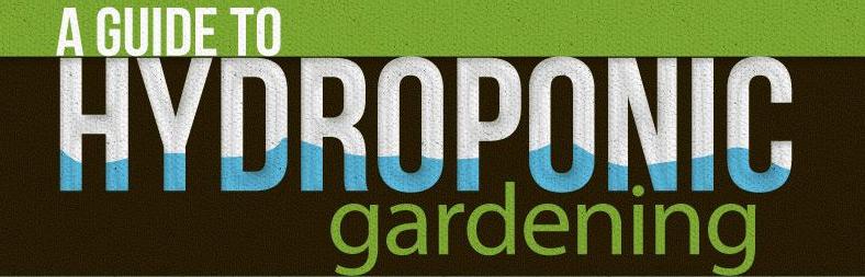 homegardenlist's tweet image. An Absolute Beginner's Guide to Hydroponic Gardening bit.ly/1GzaGIt