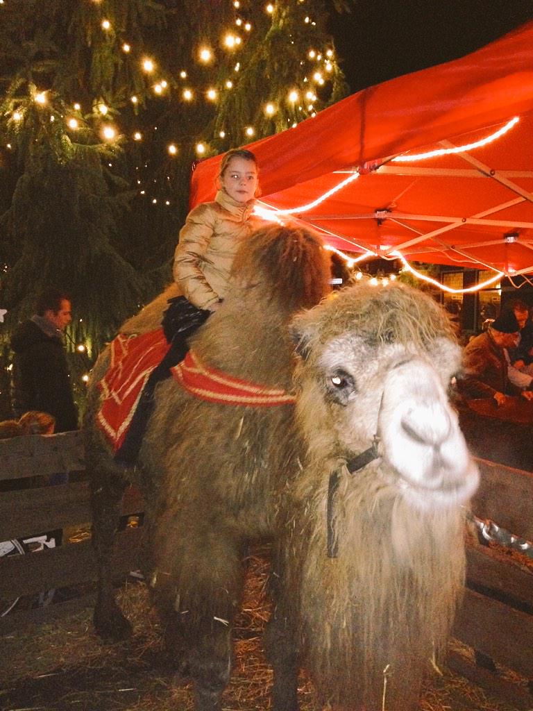 Candlelight is elk jaar weer leuk! <a href="/BarneveldseKrnt/">BarneveldseKrant.nl</a>  <a href="/BarneveldShops/">Barneveld Centrum</a>