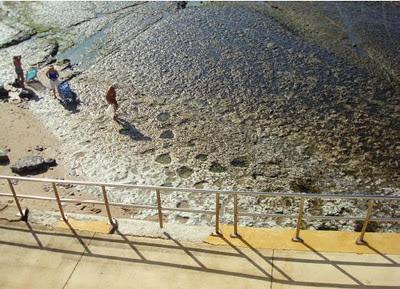 Did you know that you can find dinosaur footprints in a beach near Estoril? Can you guess which one? :)