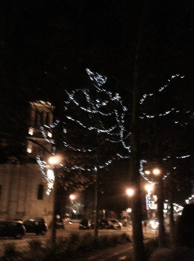 saraofember's tweet image. Christmas lights... #onemoreweektogo