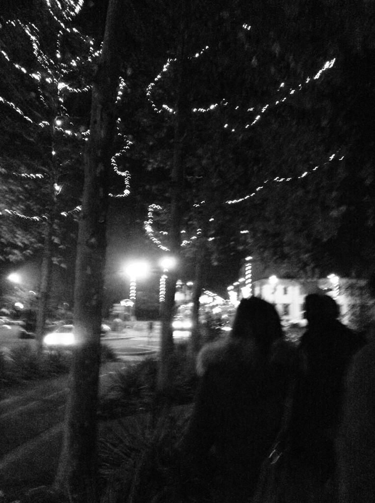 saraofember's tweet image. Christmas lights... #onemoreweektogo