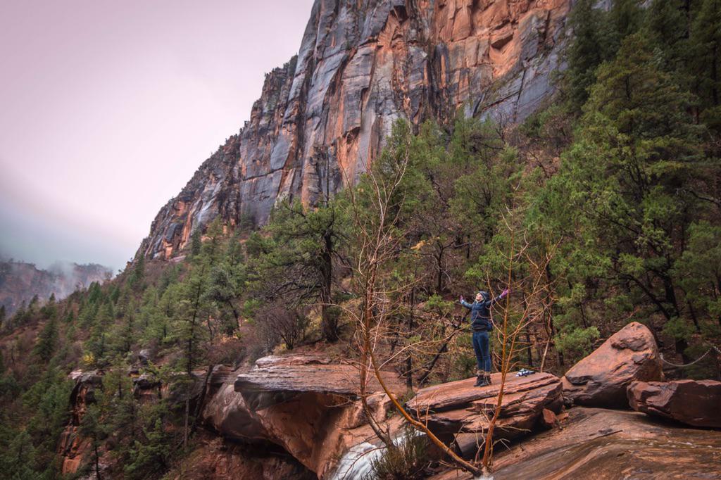 @asevaly at Emerald Falls. #Zion #radiating #opengesture #waterfall #rain #snow #utah #winter #hiking