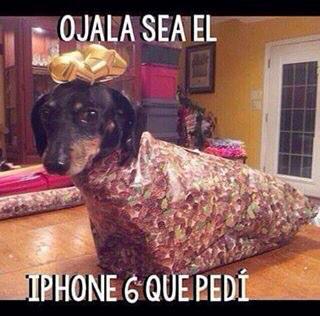 catrin_norteno's tweet photo. #TipicoDeLaNavidad que te pregunten lo que quieres y te regalen lo que quieran http://t.co/kyijHQ9JwC