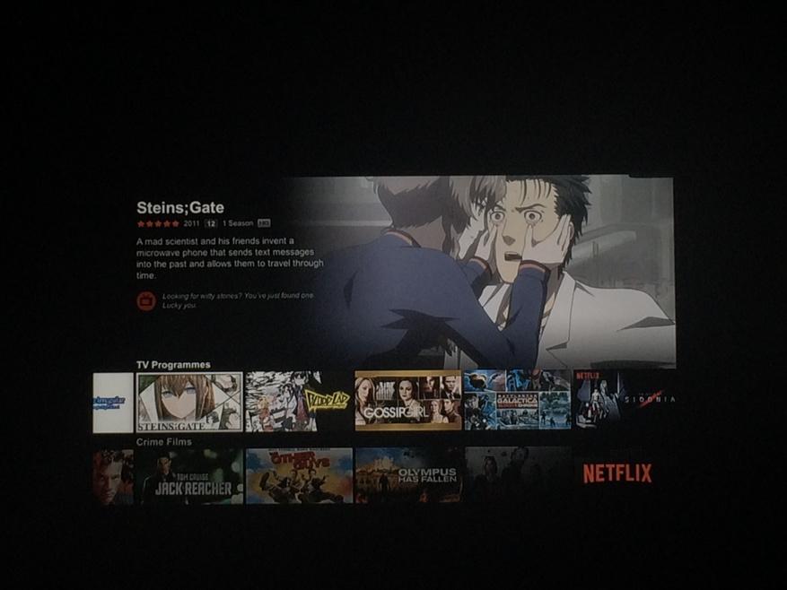 Chrollo Lucilfer on X: Steins;Gate is on Netflix!