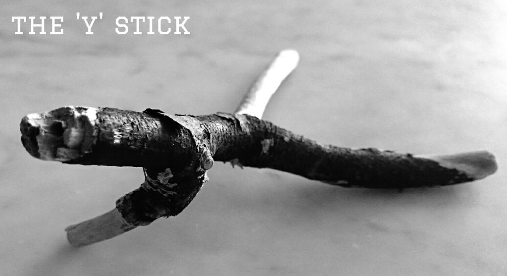 patchan0337's tweet image. #toastee #stick