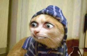 Matheus12840366's tweet image. Uque ??