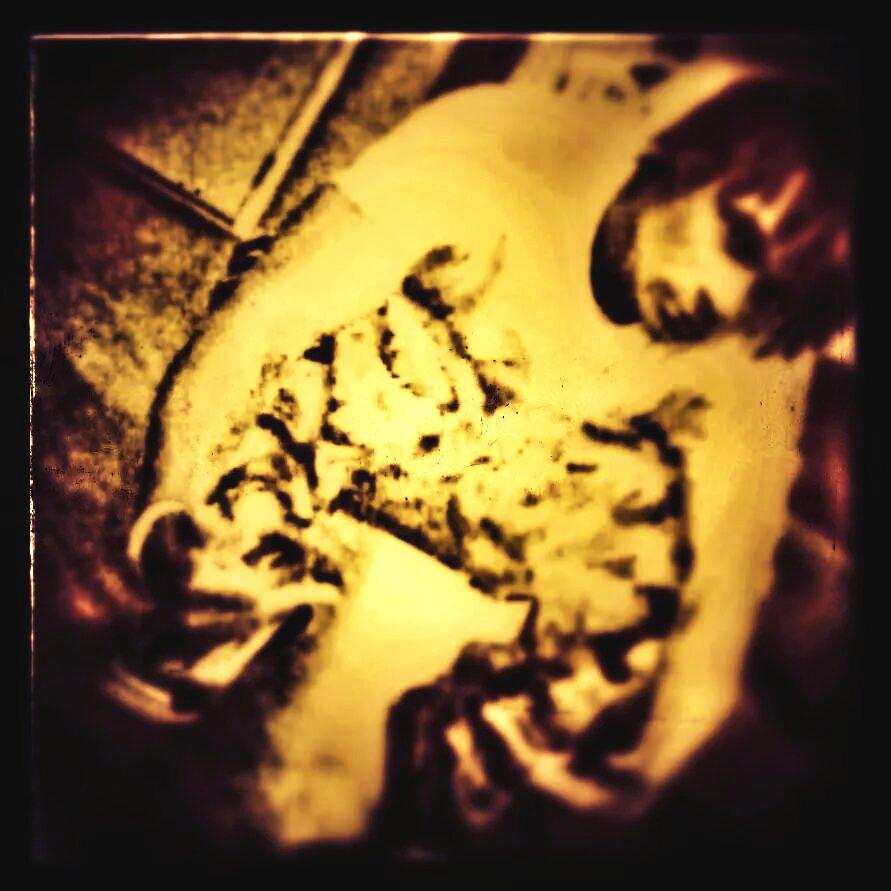 DpProfet's tweet image. 