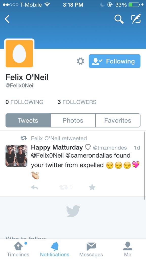 tmzmendes's tweet photo. i feel honored bc im felix's only tweet 💖💖 http://t.co/pfww4UNF7b