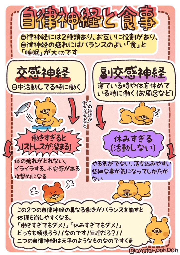 これはわかりやすい！自律神経と食事のまとめ