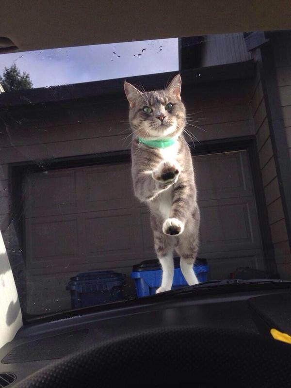 9GAG's tweet photo. when bae is about to leave http://t.co/2EqEezQ6oL