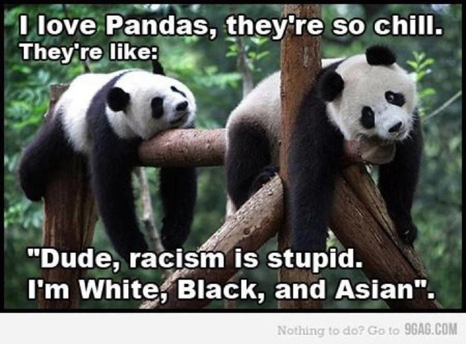 #pandas #racism #skincolorisnodifferentthanhaircolor ?? #funnymemes http://t.co/XKc5jp4lqO