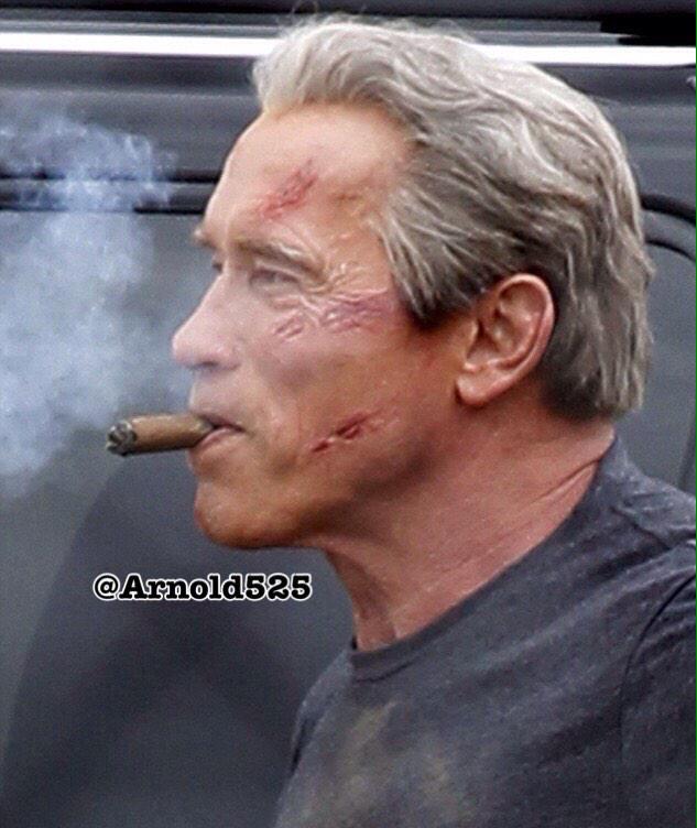 Arnold525's tweet photo. @Schwarzenegger                          I can't wait 230 day ?!! July 1,2015 http://t.co/N5OsWrl3je