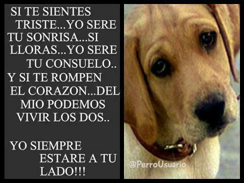 SIEMPRE, pero siempre, puedes contar conmigo ... 🐕