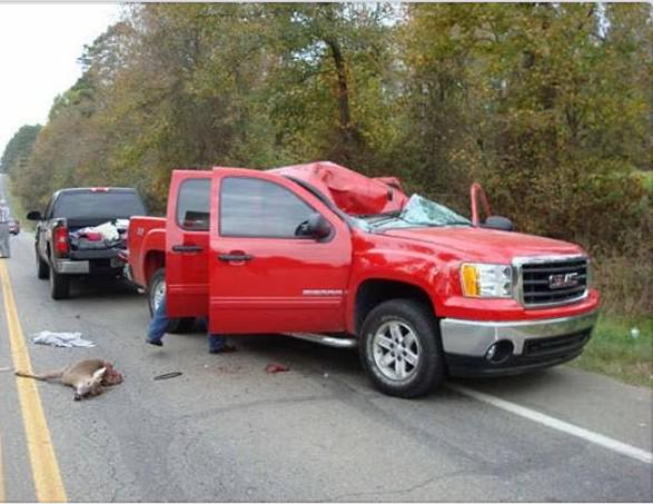 VenaticFanatics's tweet image. On coming car hits a deer in Michigan. Deer flies in the air and lands on top of this new GMC. Everyone was ok! Wow!