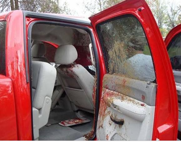 VenaticFanatics's tweet image. On coming car hits a deer in Michigan. Deer flies in the air and lands on top of this new GMC. Everyone was ok! Wow!