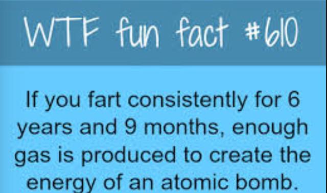 WEIRDEST FACTS (@the_lost_facts) on Twitter photo 