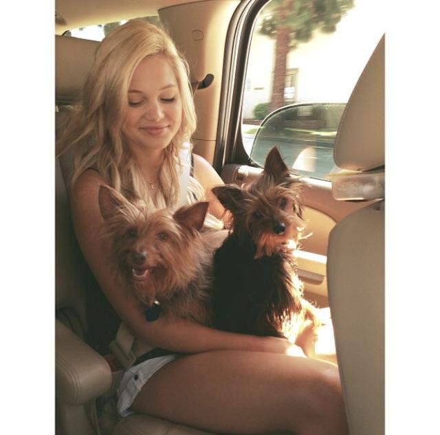 Mazie (@maziebitvh_) on Twitter photo 