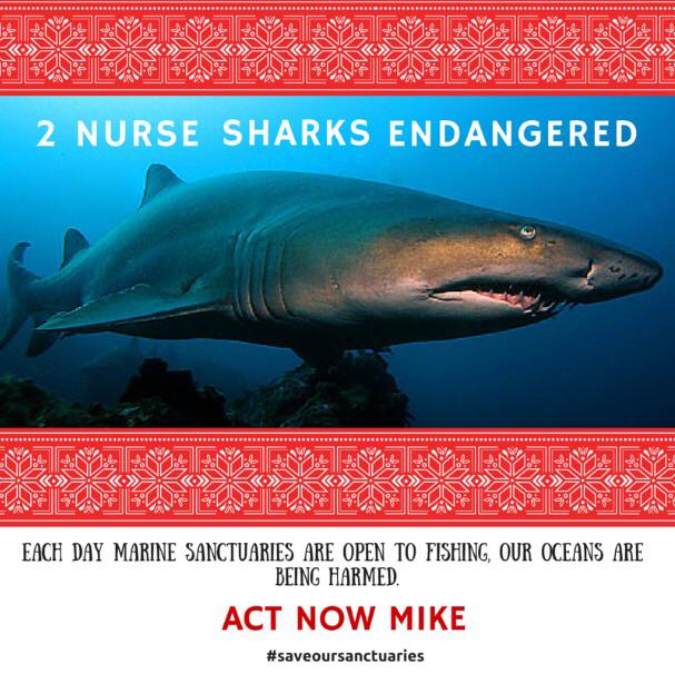 On the 2nd day of Christmas, Mike Baird gave to me, 2 endangered nurse sharks with no sanctuary. #saveoursanctuaries